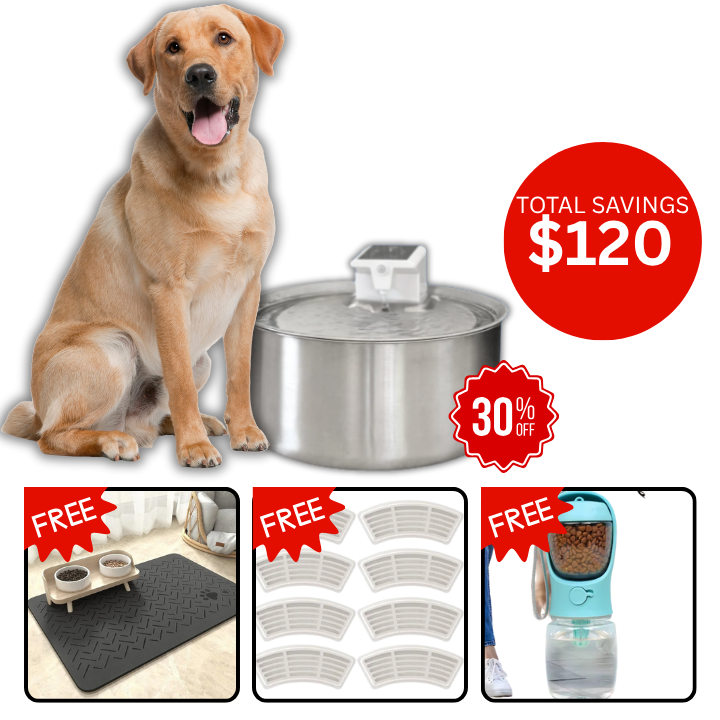 PawFlows Dog Water Fountain