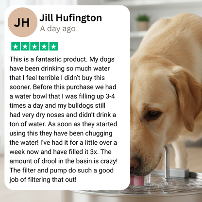 PawFlows Dog Water Fountain