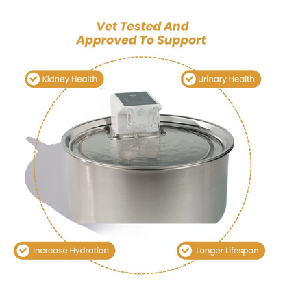 PawFlows Dog Water Fountain