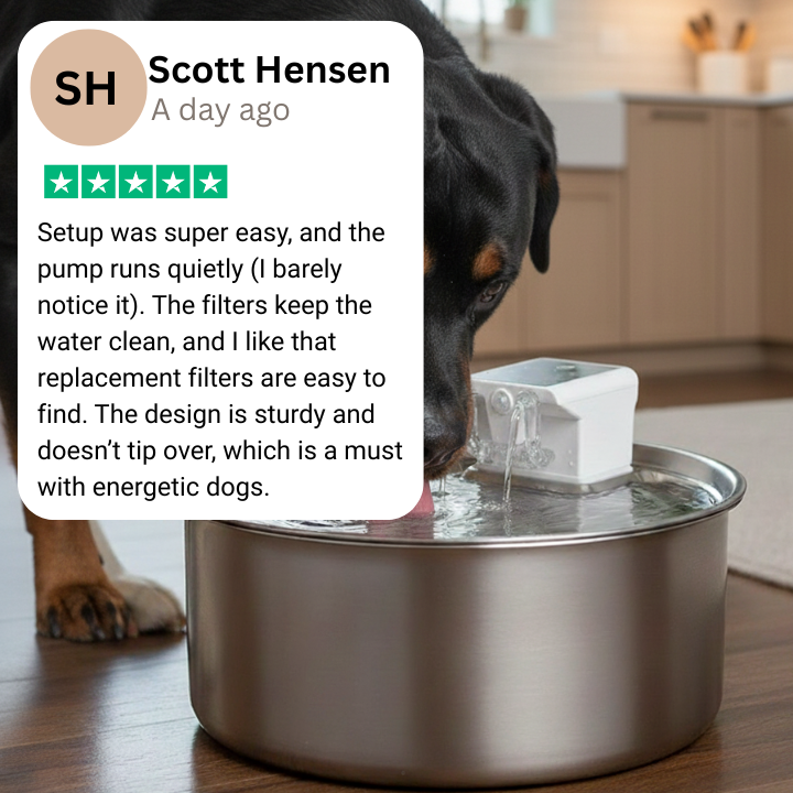 PawFlows Dog Water Fountain