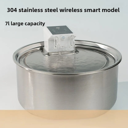 PawFlows Dog Water Fountain